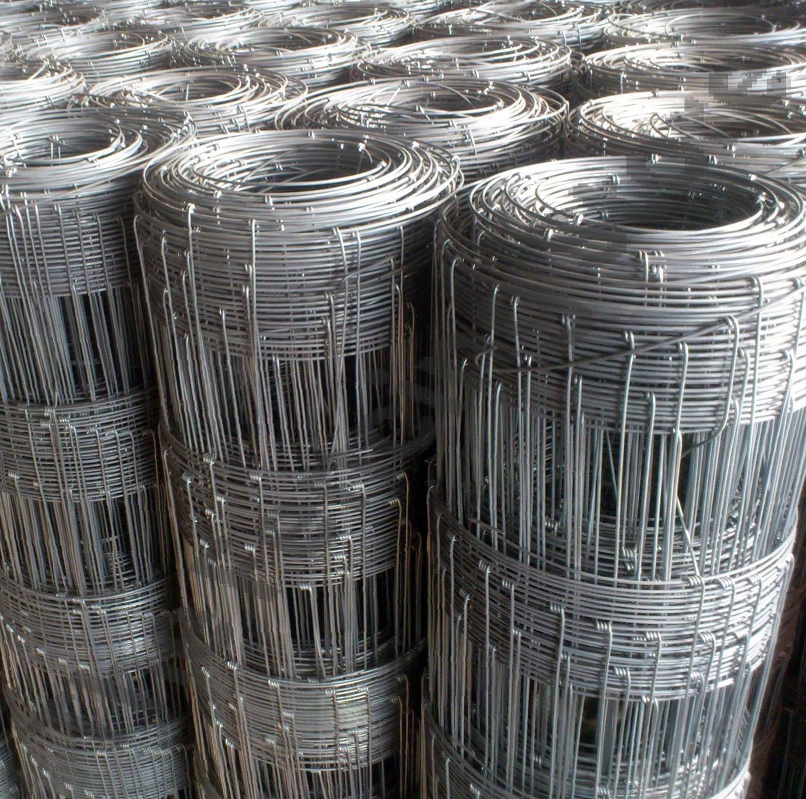 Hinge Joint Mesh Rolls — Cooroy Produce In Cooroy, QLD