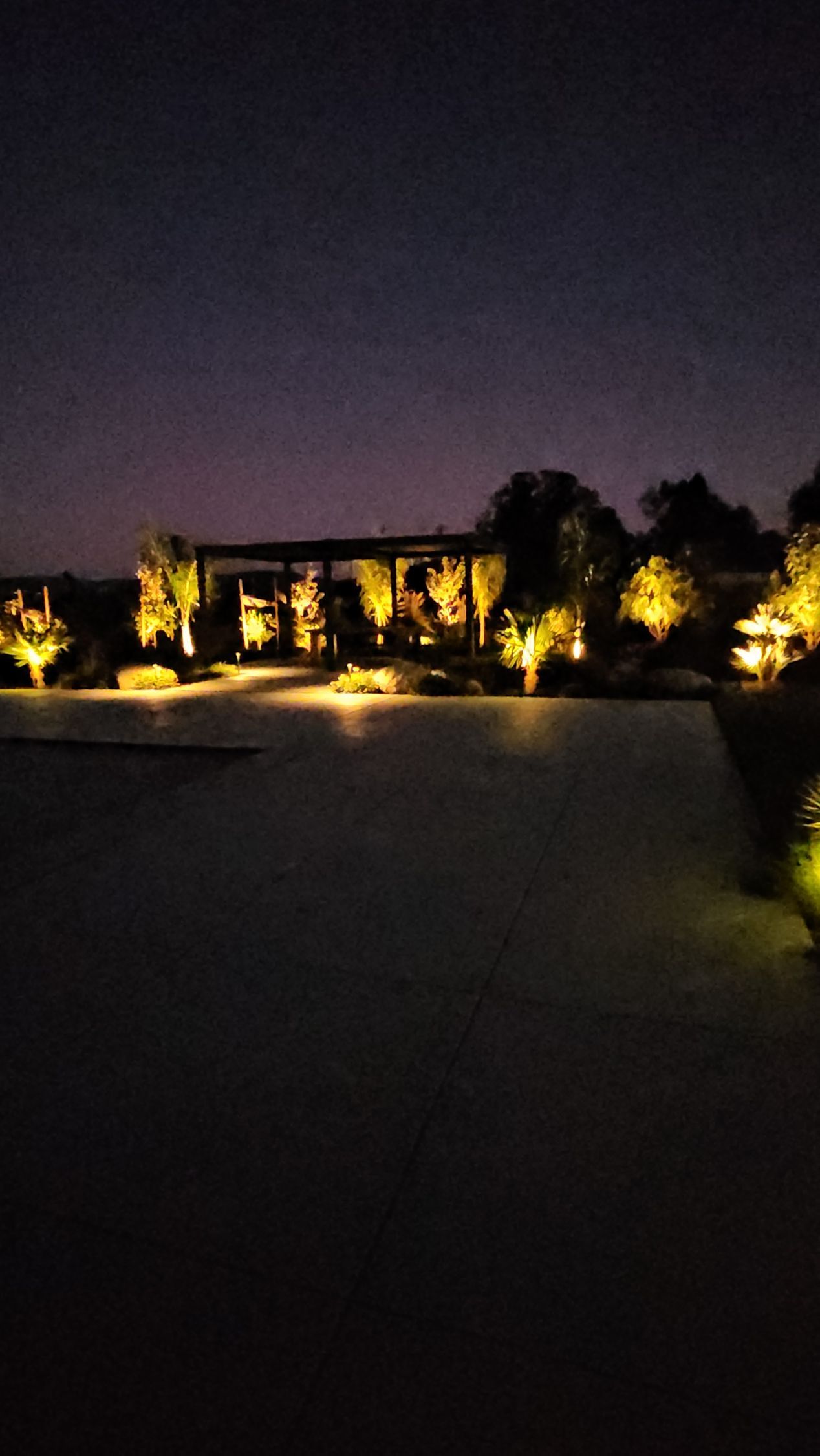 Nighttime exterior view of a building and landscaping, lit by warm yellow lights. Dark sky overhead.