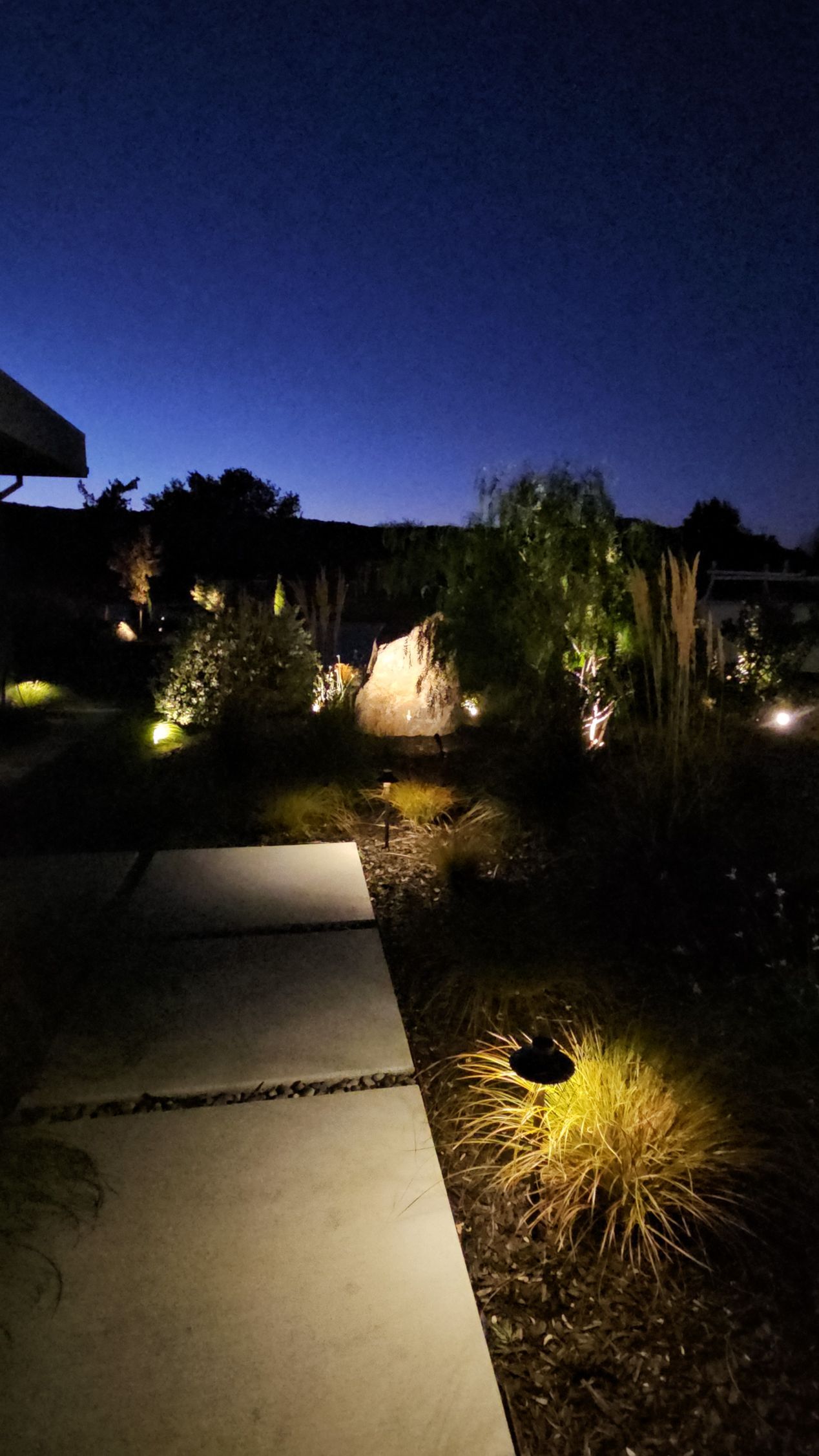Path lit by landscape lights at dusk, leading to garden plants and a rocky background.