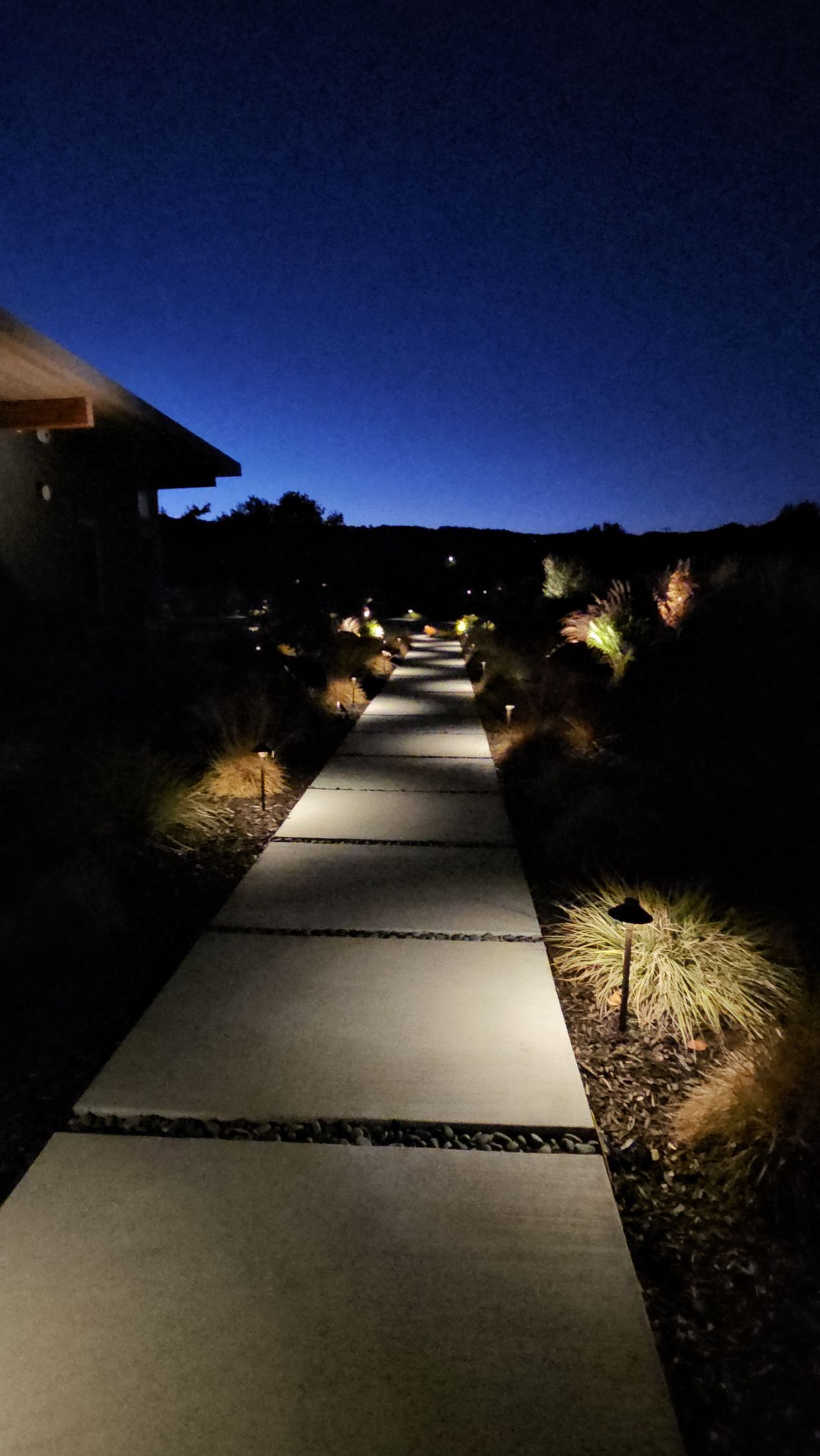 Lit pathway at night, leading through a garden with low lights and a dark blue sky.