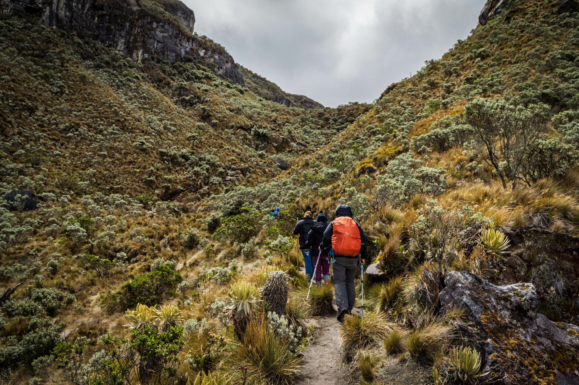 A group of people are walking down a path in the mountains.