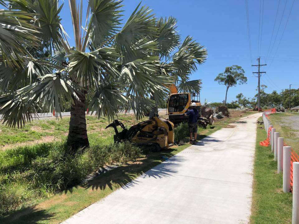 Pathway Trees Maintenance — Arborist in Yeppoon, QLD