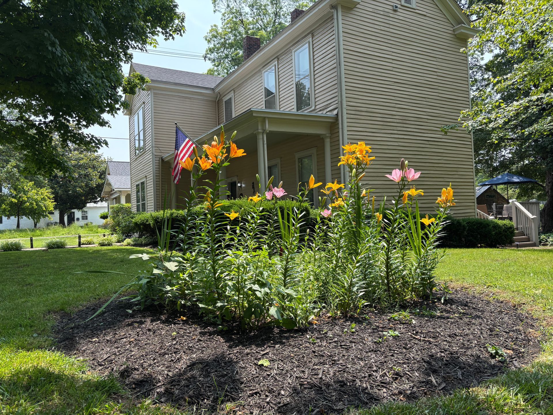 A close up of a red rose with green leaves in the background