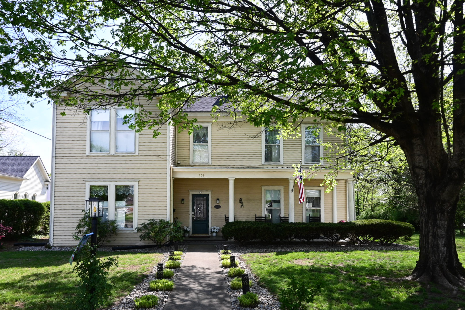 A close up of a red rose with green leaves in the background