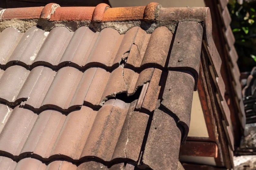 Damaged clay roof tiles with a large broken section and missing pieces.