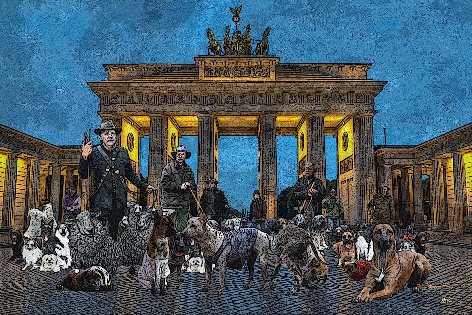 Duitse herder poster