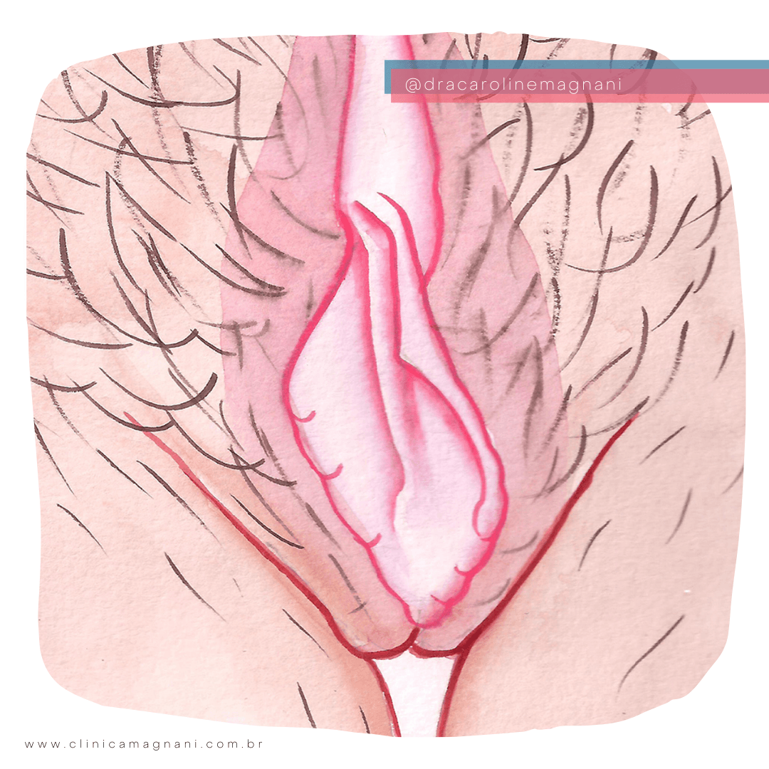 Vulva.Contos - Muito Além das Cirurgias Íntimas