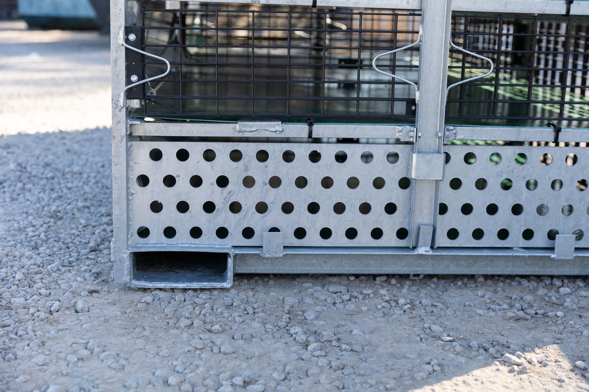 Close-up of a metal cage with a perforated base and a small opening, sitting on gravel.