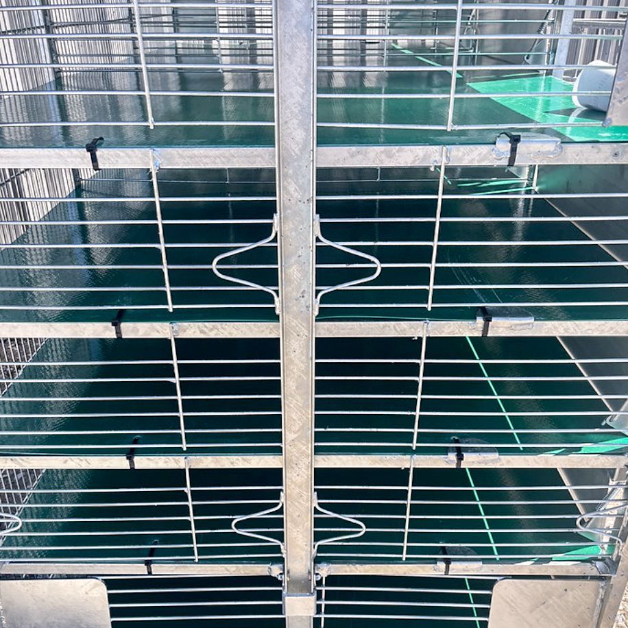 Overhead view of a metal cage with green flooring. Center post. Horizontal and vertical bars create compartments.