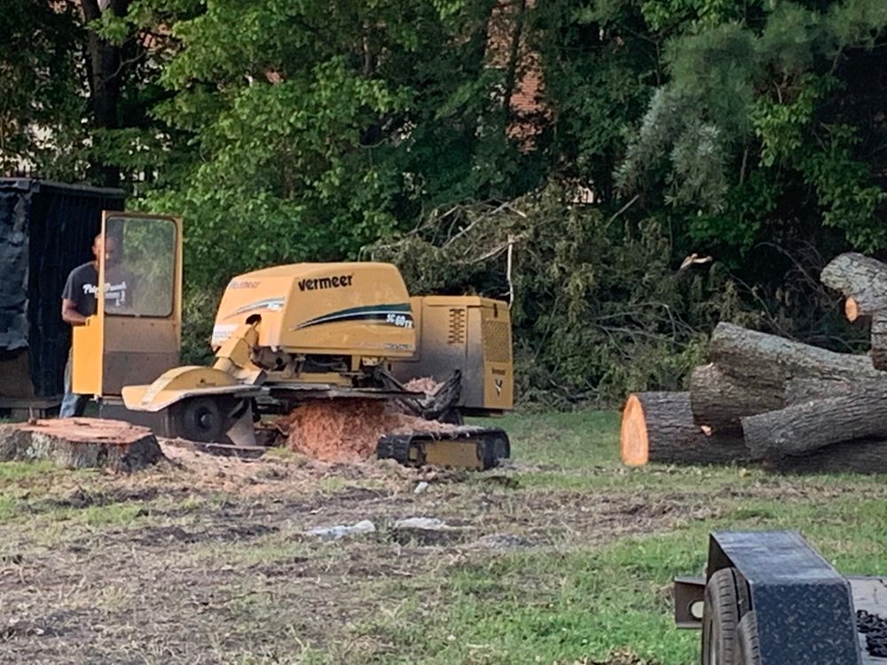Stump grinder operating near cut logs and a man. Yellow machine in yard with wood debris.