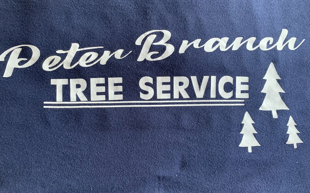 Navy blue graphic with white text: 