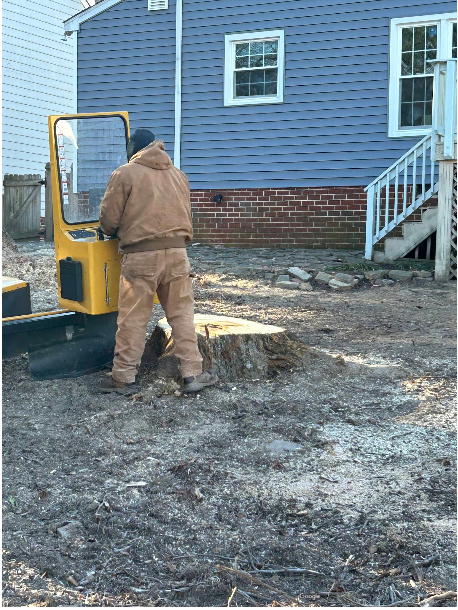 Man operating yellow stump grinder in a backyard with blue siding and a brick foundation.