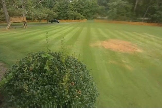 Well-manicured lawn with brown patch, bush in foreground, vehicle and treehouse in distance.