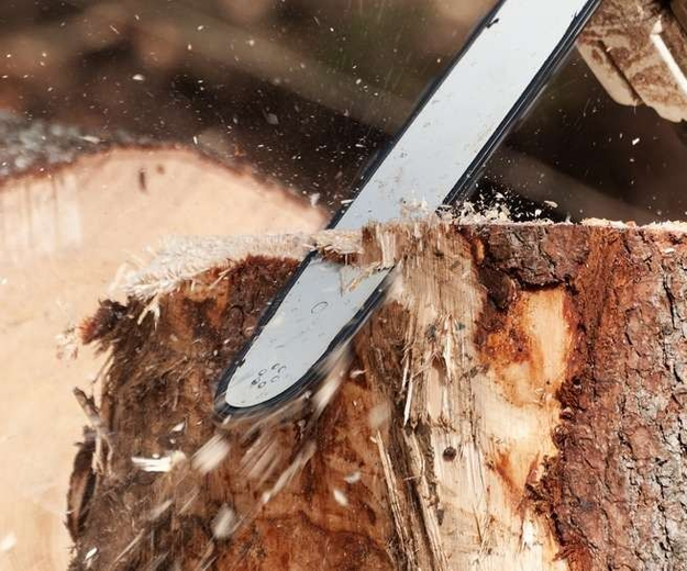 Chainsaw cutting into a tree stump, wood chips flying.
