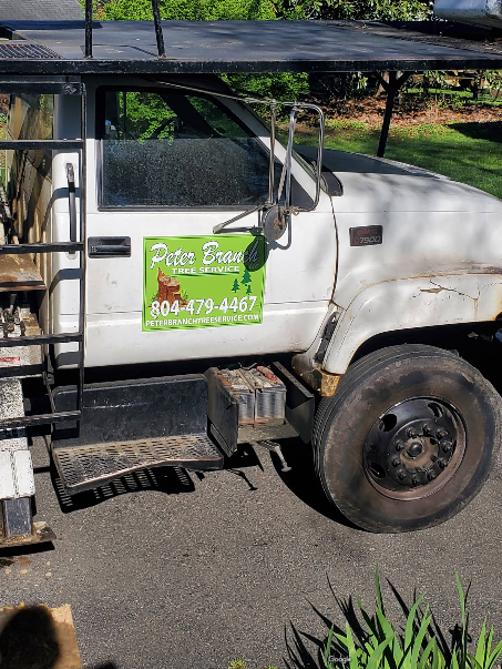 White work truck with tree service logo on the side, parked outside.