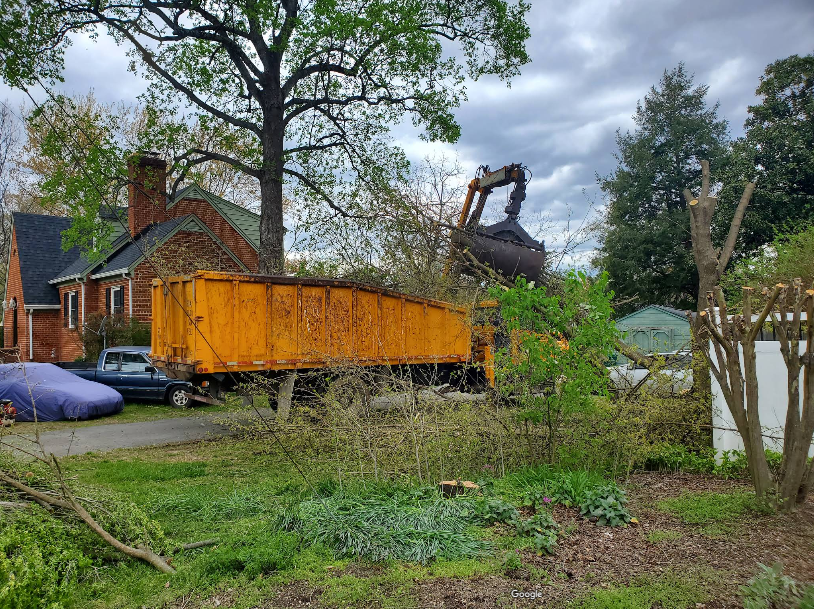 Yellow dump truck being loaded with tree debris by an excavator in front of a house.