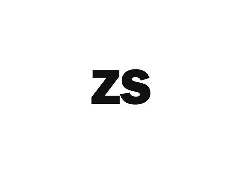 zs construction