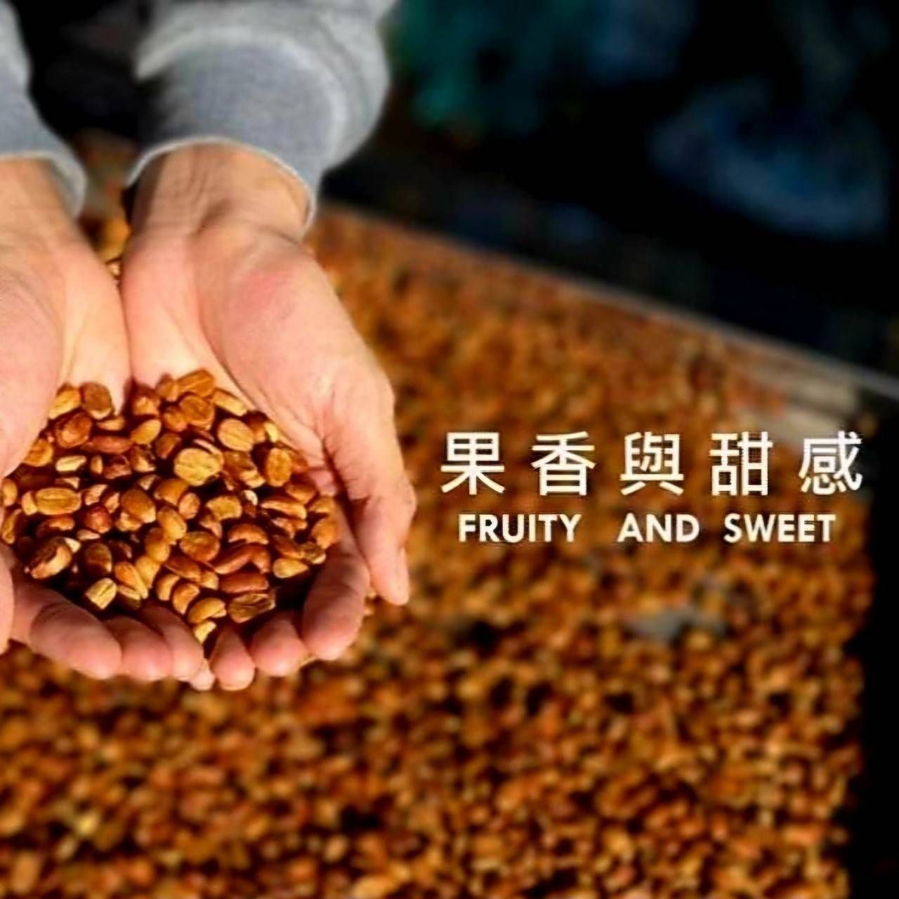 Taiwan Black Honey (1 pound) Coffee Beans