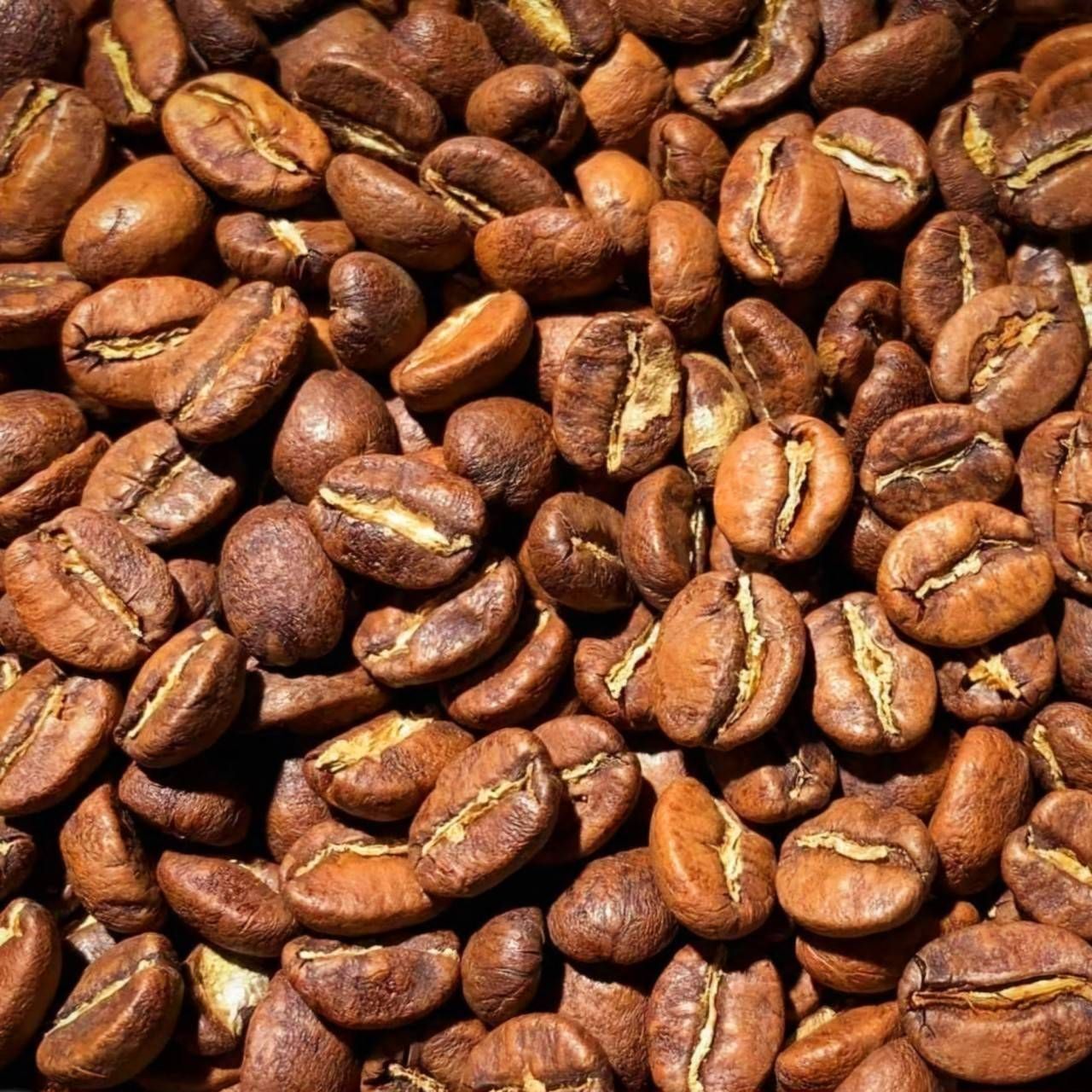 Honduras Volcano (1 pound) Coffee Beans