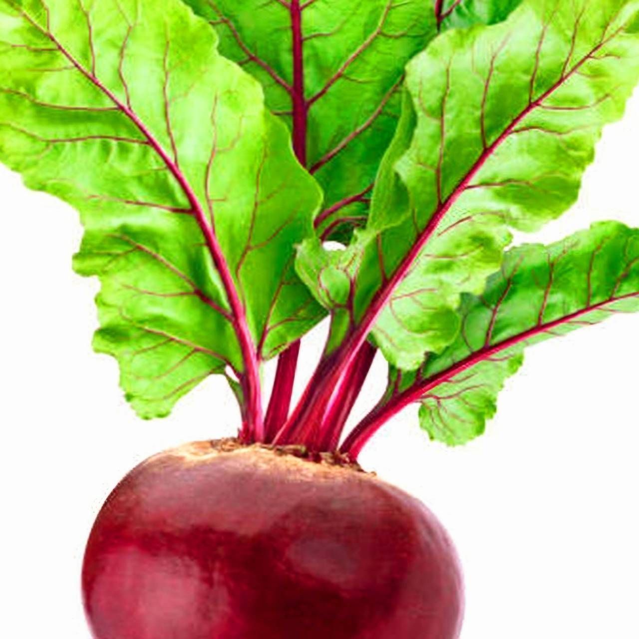 13年頂級甜菜根醋(500ML)