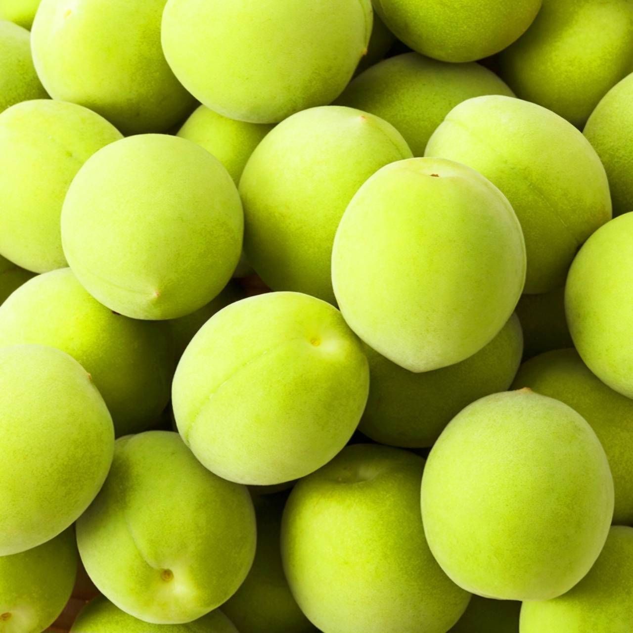 13年頂級梅子醋(500ML)