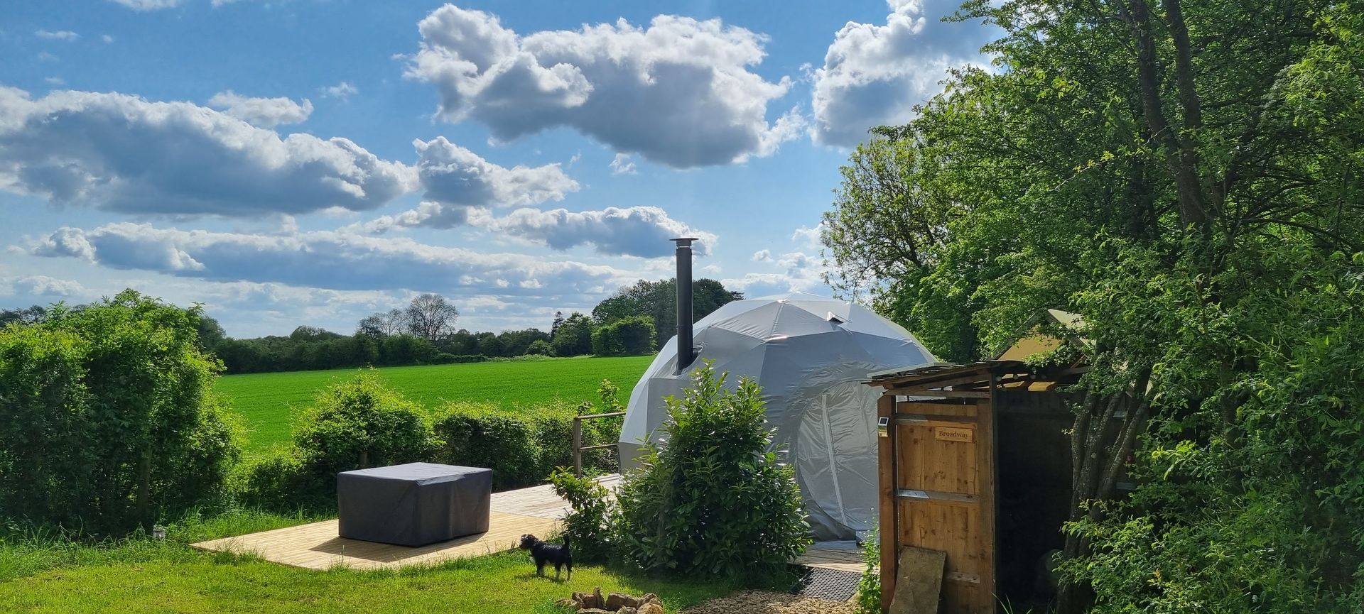 A yurt is sitting in the middle of a grassy field surrounded by trees.