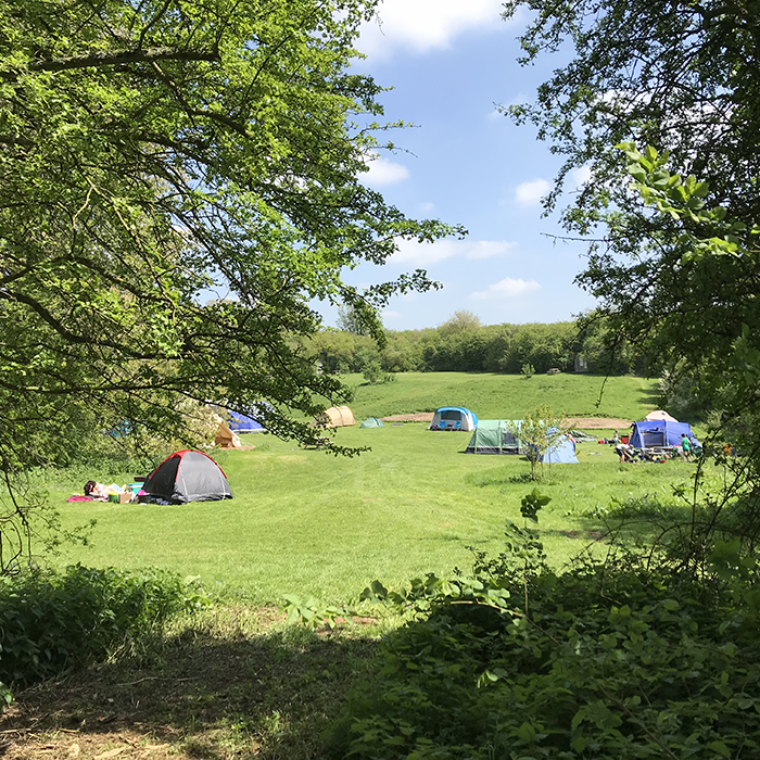 A group of tents are set up in a grassy field