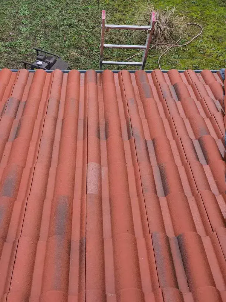 démoussage toit après