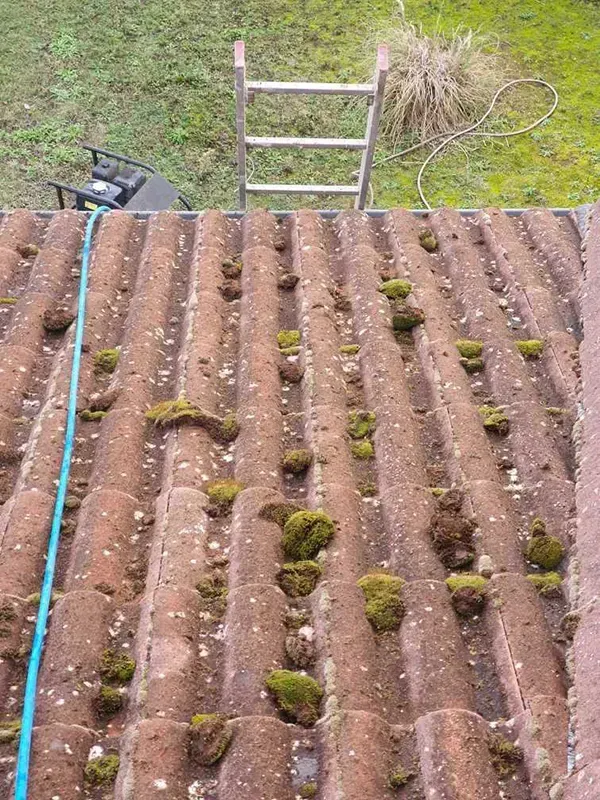 démoussage toit avant