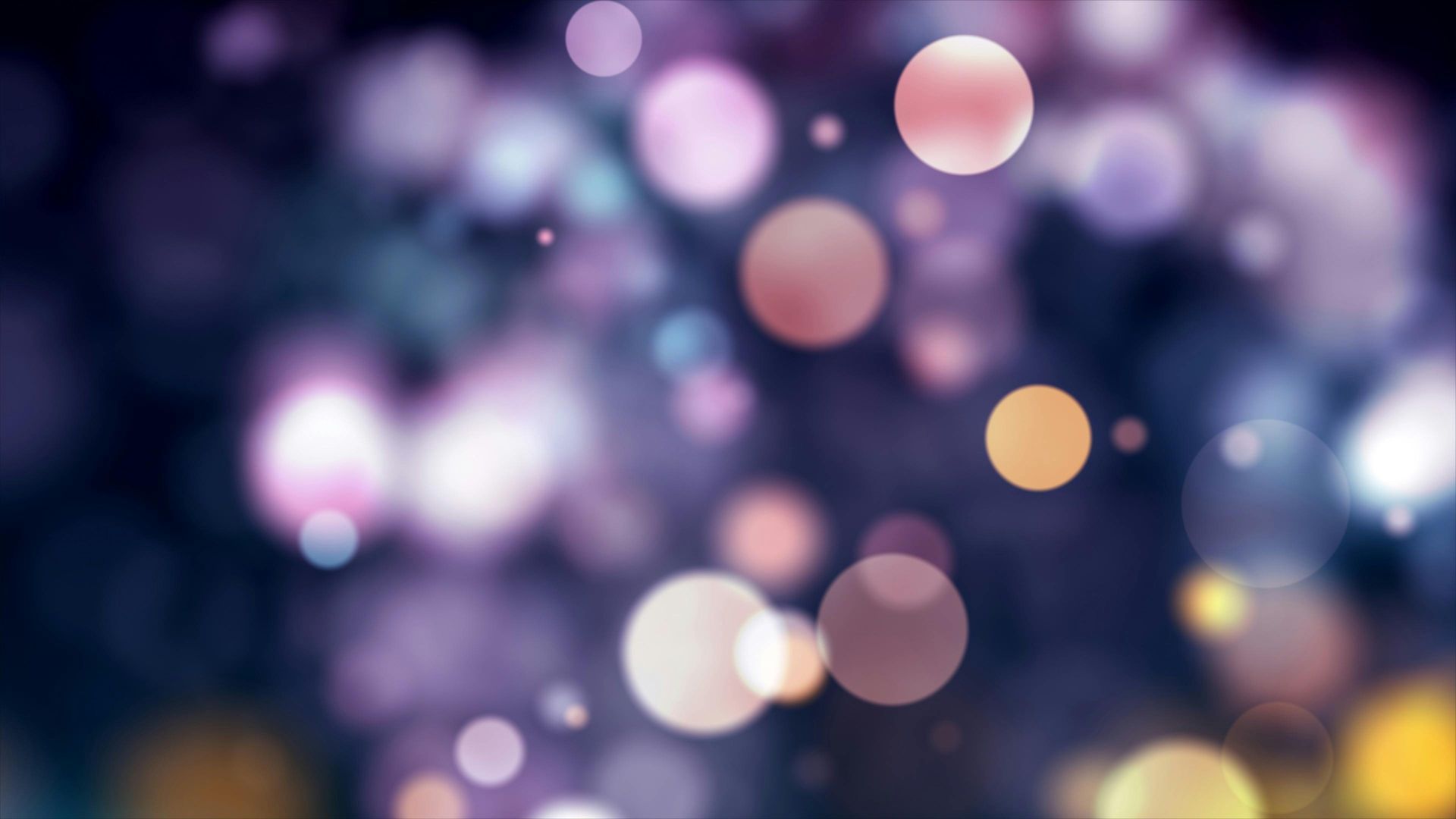 sparkles to celebrate affordable toronto web design 