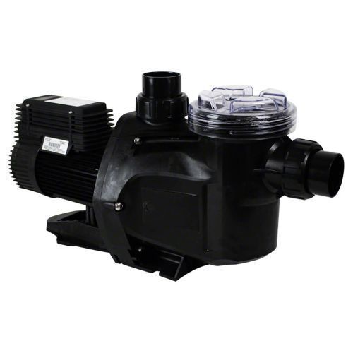 A black swimming pool pump with a clear lid on a white background.