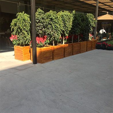 RESINAS Y PINTURAS SAN MIGUEL