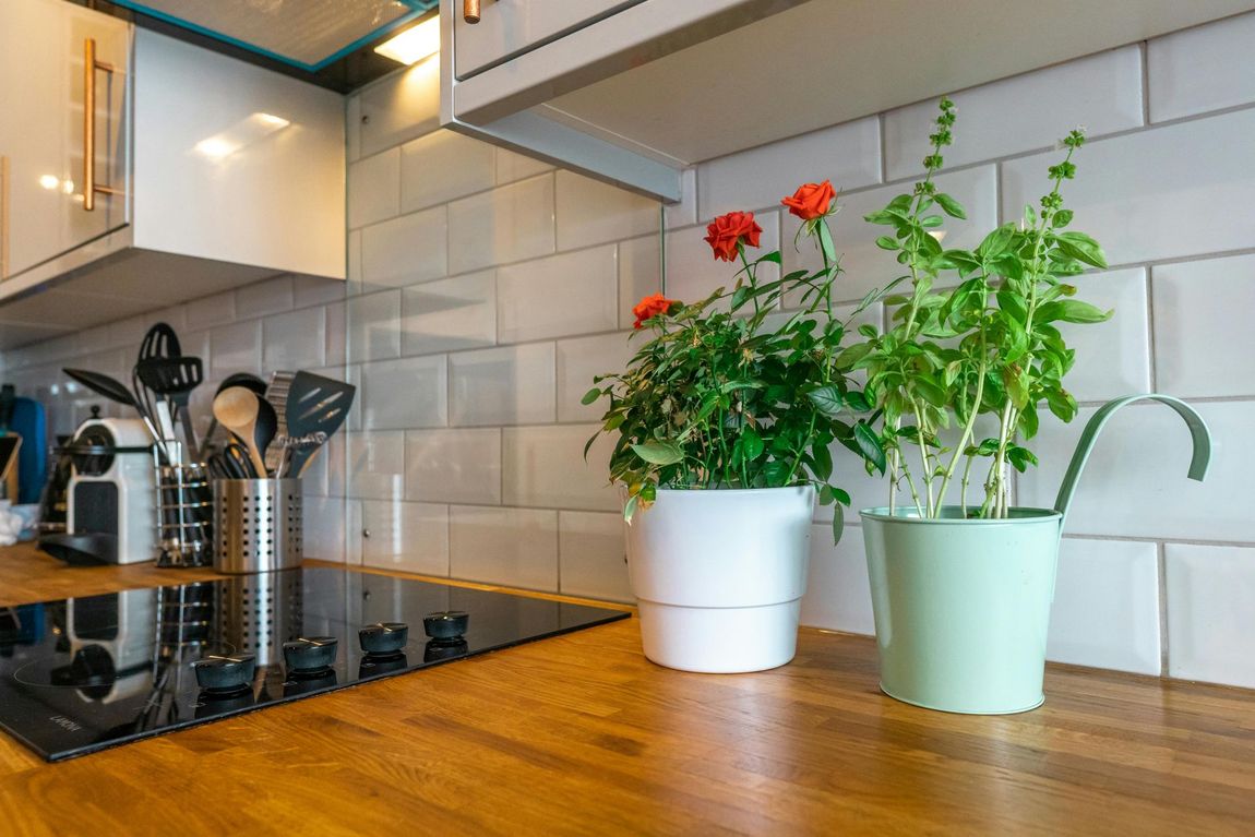 There are two potted plants on the counter in the kitchen.