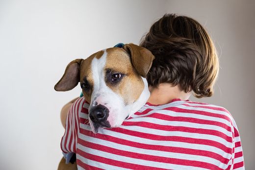 Veterinarian examining a dog