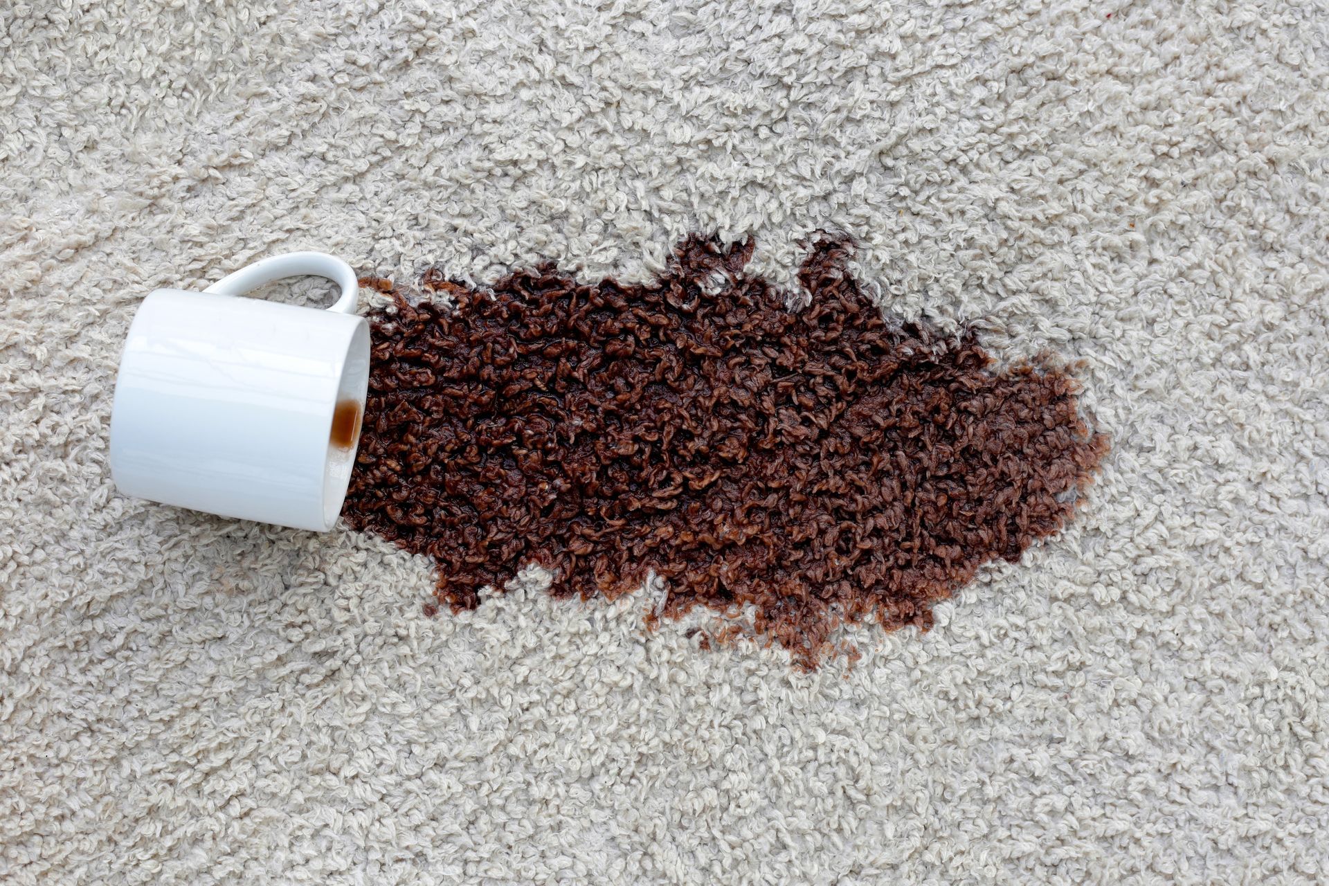 White mug spilled on beige carpet, scattering dark red coffee grounds or beans.
