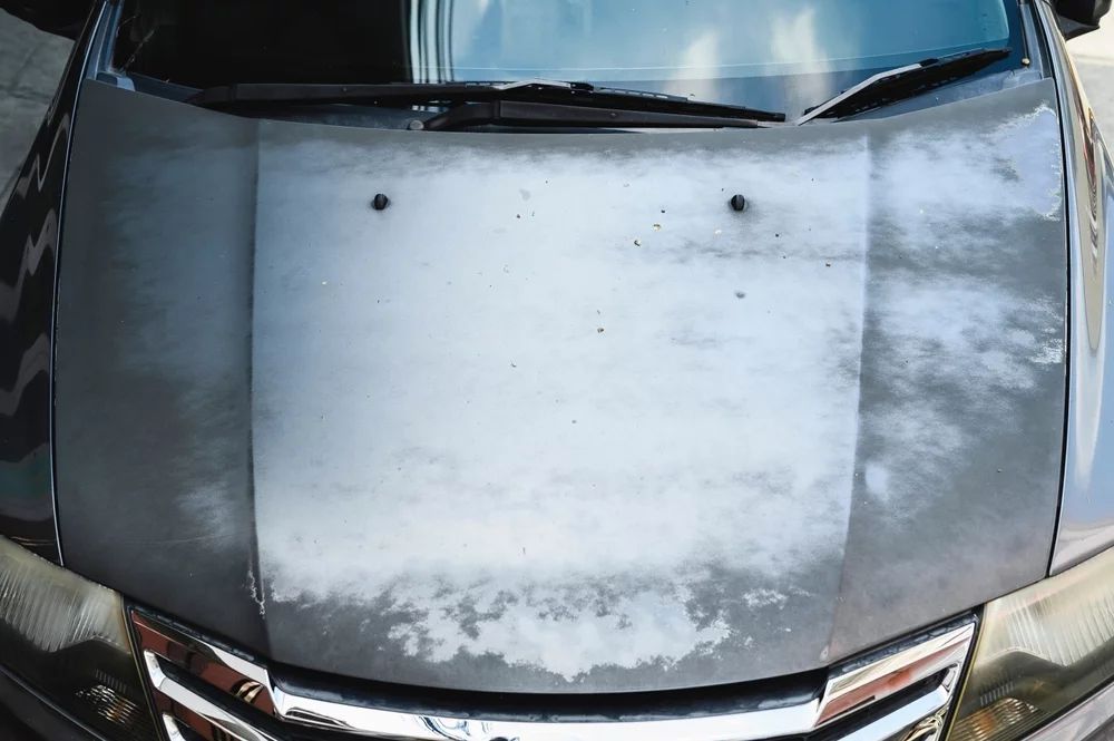 Faded car paint on the hood of a car. 