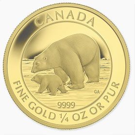 A gold coin with a polar bear and a baby bear on it.