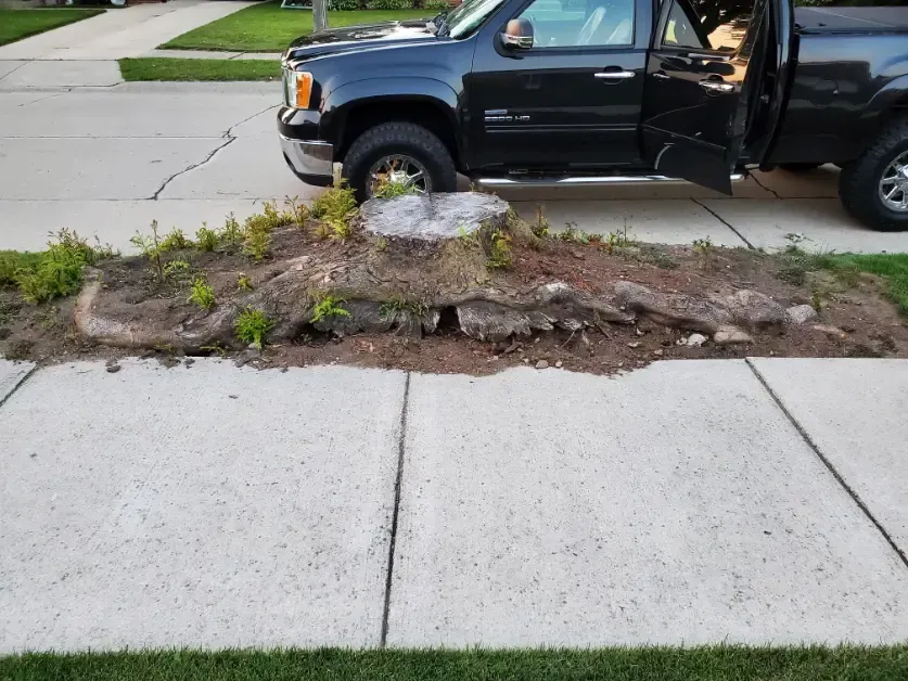 A black truck is parked on the side of the road
