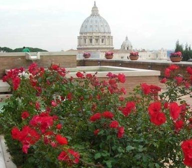 vista di san pietro da un tetto con fiori rossi