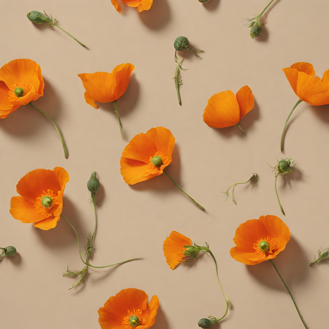 California Poppy used in our functional mocktails, elixirs, social tonics