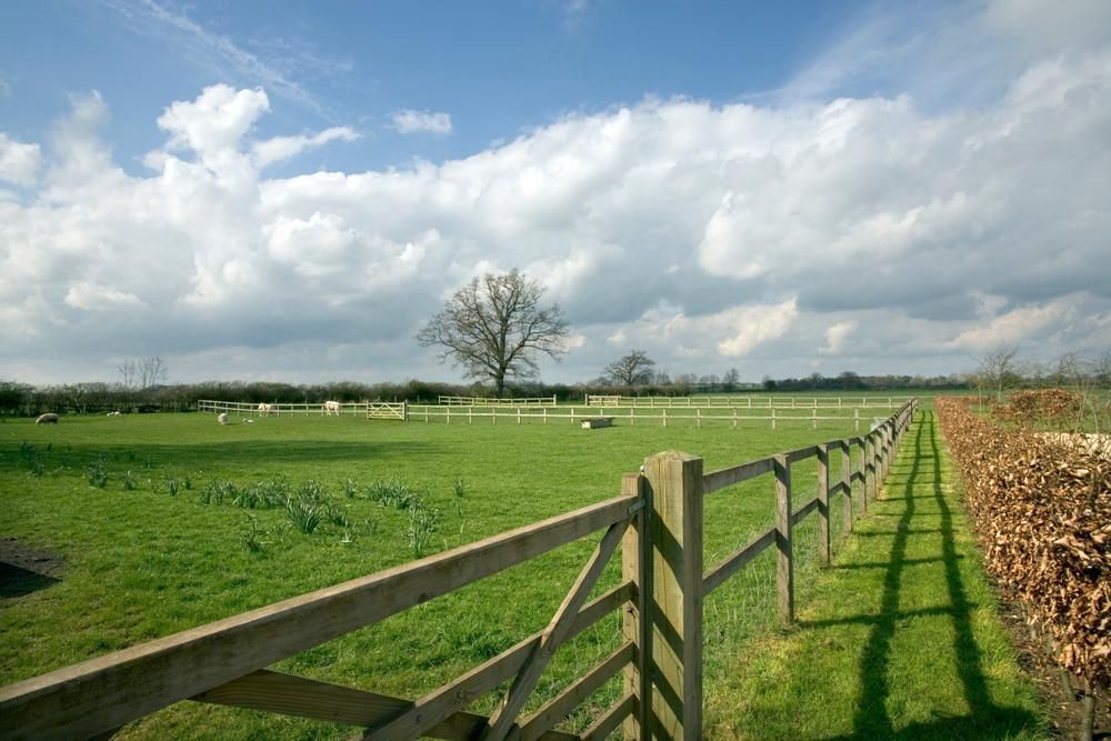 A Wooden Fence Surrounds a Grassy Field with A Tree in The Background — Kempsey Produce & Saddlery in Kempsey, NSW