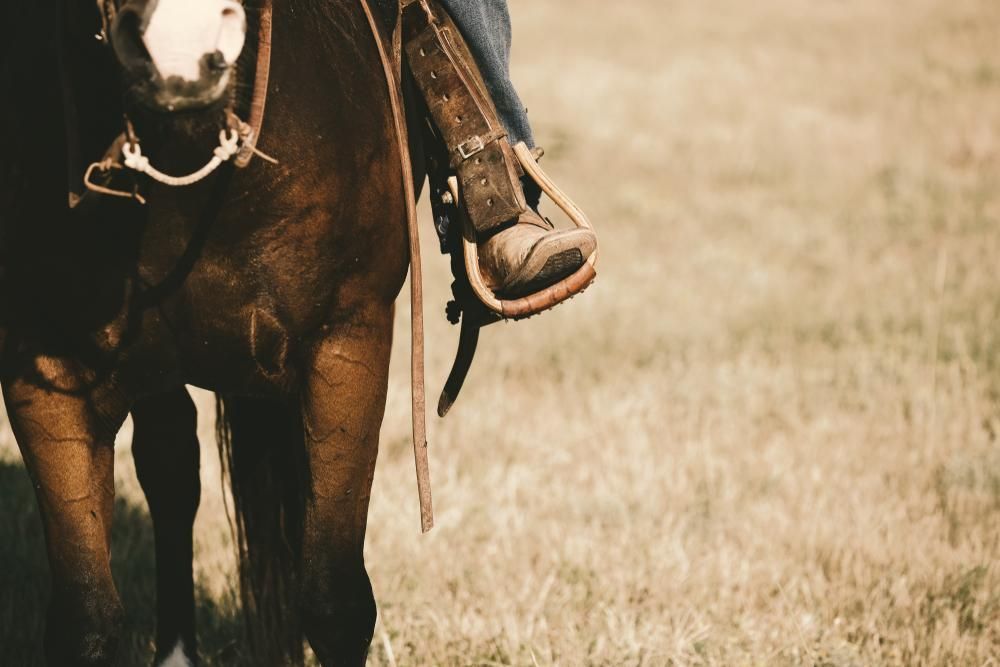 A Person Is Riding a Brown Horse in A Field — Kempsey Produce & Saddlery in Kempsey, NSW