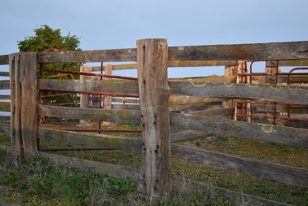 A Wooden Fence with A Gate in The Middle of A Field — Kempsey Produce & Saddlery in Kempsey, NSW