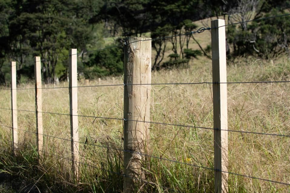 A Wooden Fence Surrounds a Grassy Field with Trees — Kempsey Produce & Saddlery in Kempsey, NSW