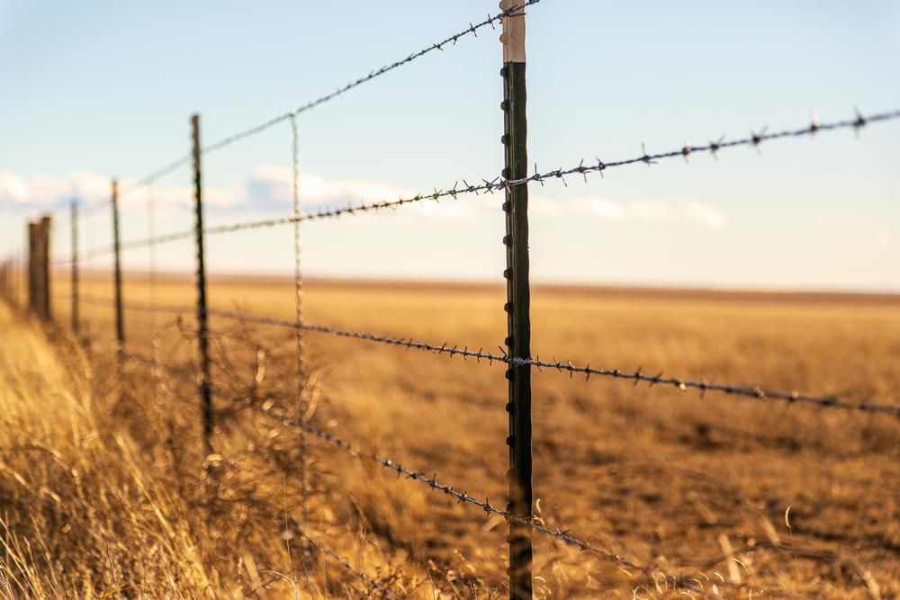 A Barbed Wire Fence Surrounds a Dry Grass Field — Kempsey Produce & Saddlery in Kempsey, NSW