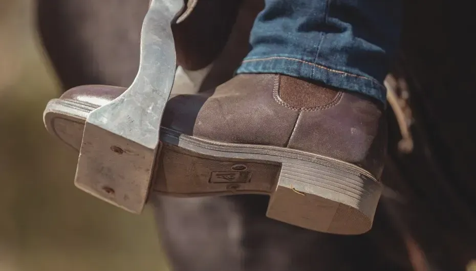 A Person Wearing Blue Pants and Brown Boots Is Standing on A Ladder — Kempsey Produce & Saddlery in Kempsey, NSW