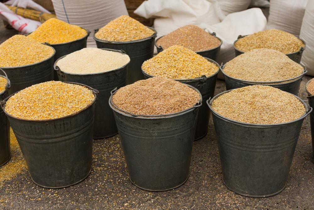 Buckets Filled with Different Types of Grains Are Lined up On the Ground — Kempsey Produce & Saddlery in Kempsey, NSW