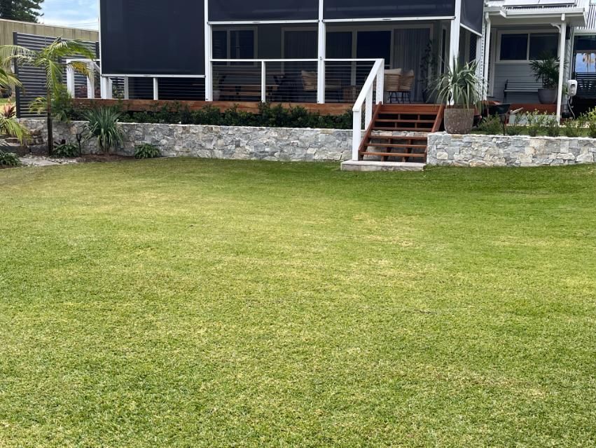 A Large Lawn In Front Of A House With Stairs Leading Up To It — Lewis Landscapes In Yippin Creek, NSW