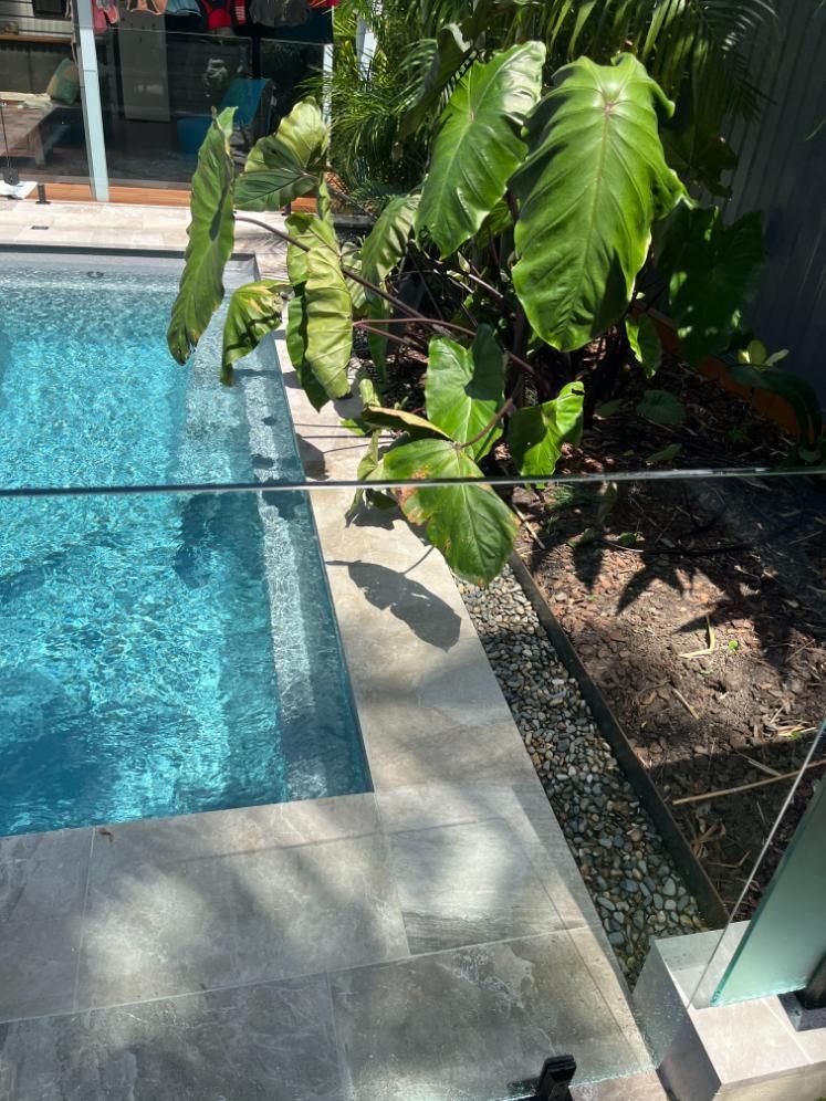 A Swimming Pool With A Glass Fence And Plants Surrounding It — Lewis Landscapes In Yippin Creek, NSW