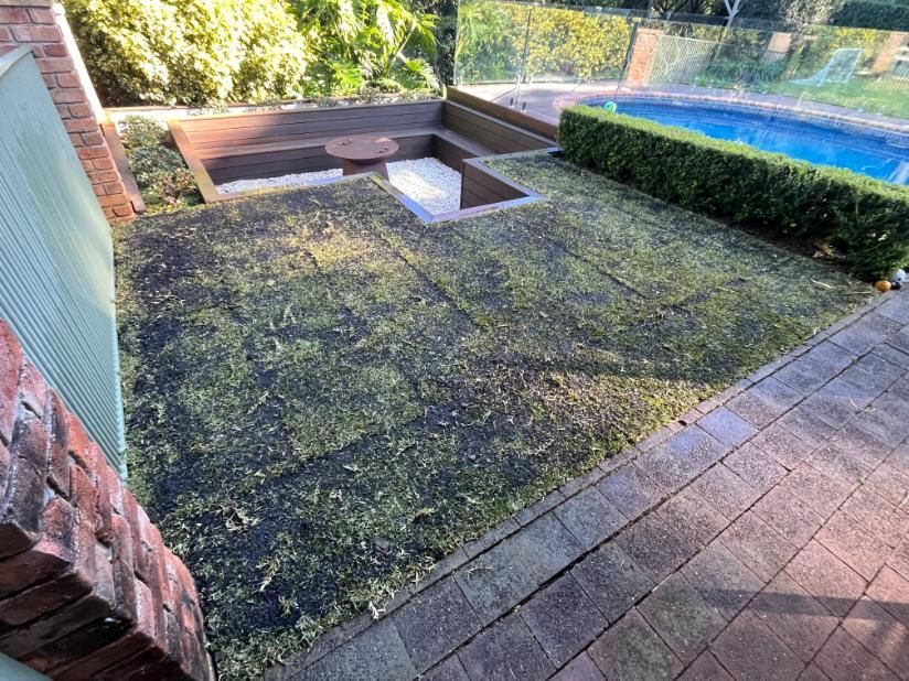 A Patio Area With A Swimming Pool In The Background — Lewis Landscapes In Yippin Creek, NSW